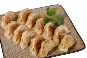 pasta de gyozas