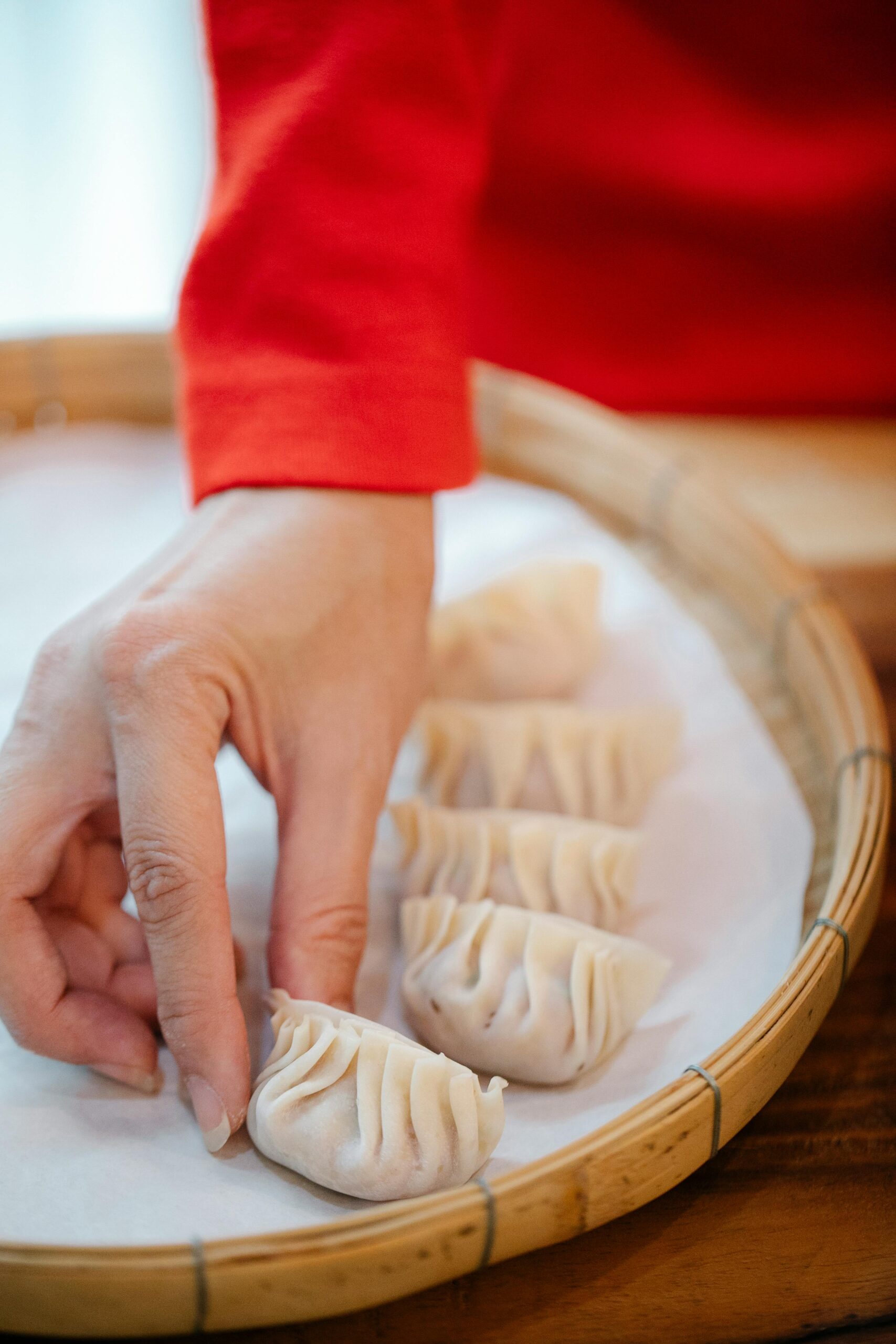 pasta de gyozas