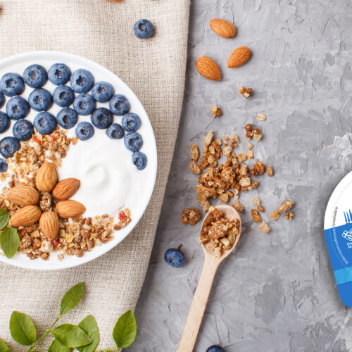 yogur olympus / olympus yoghurt